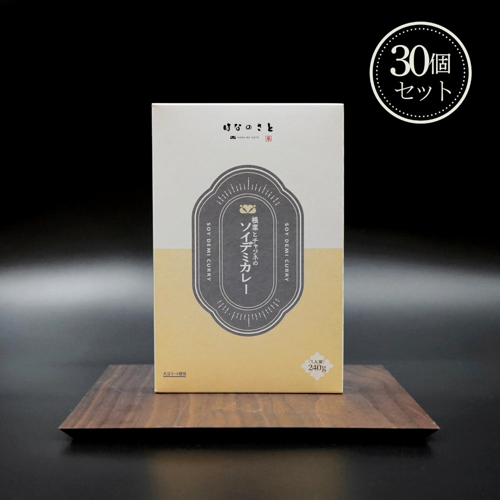 根菜とチャツネのソイデミカレー 30個セット